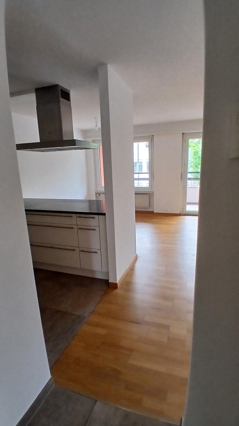 Charmant appartement de 3,5 pièces près du lac (8)