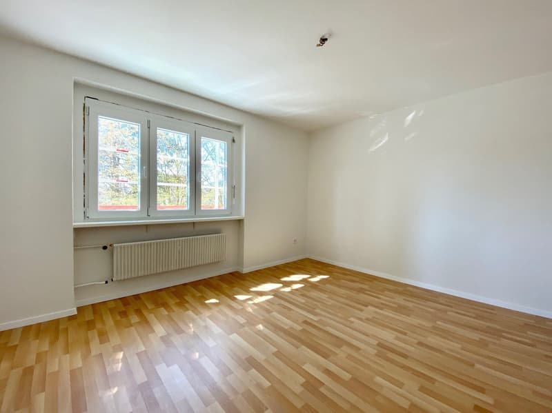 Appartamento di 2 camere al 1° piano con balcone (6)