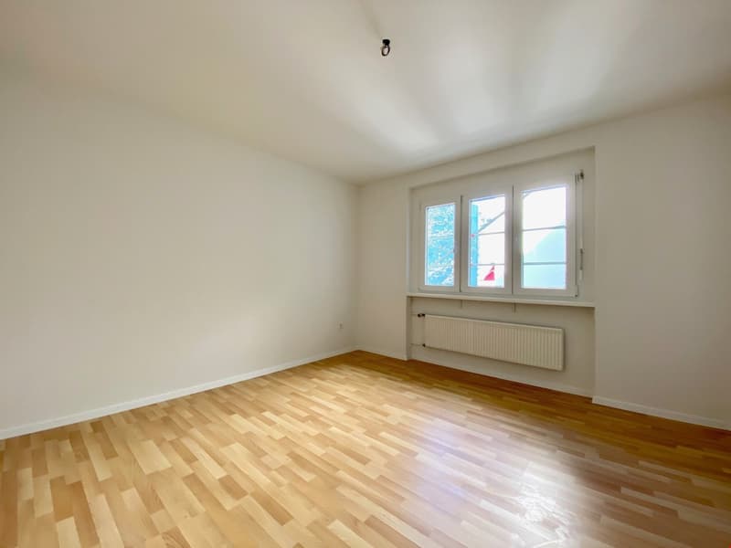 Appartamento di 2 camere al 1° piano con balcone (7)