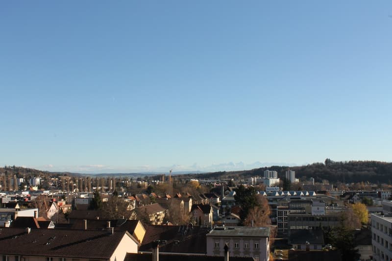 ALPENPANORAMA inklusive - top renovierte 2.5-Zimmerwohnung mit Galerie (12)
