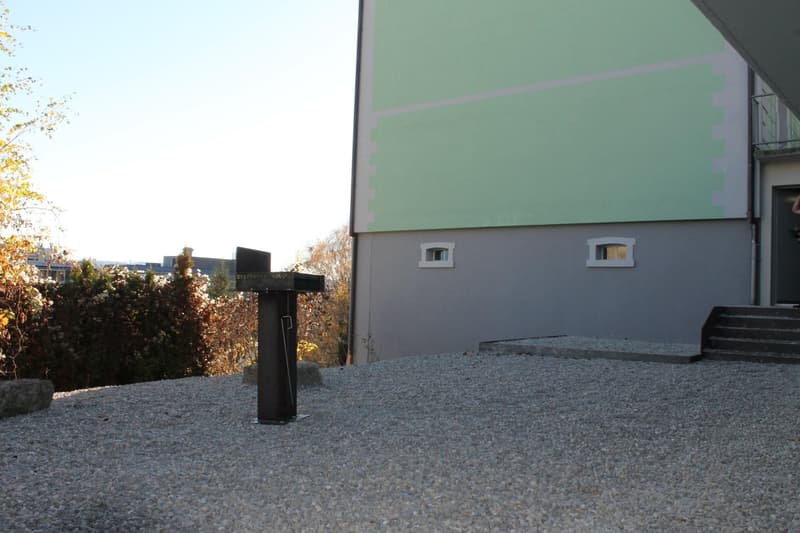 ALPENPANORAMA inklusive - top renovierte 2.5-Zimmerwohnung mit Galerie (9)