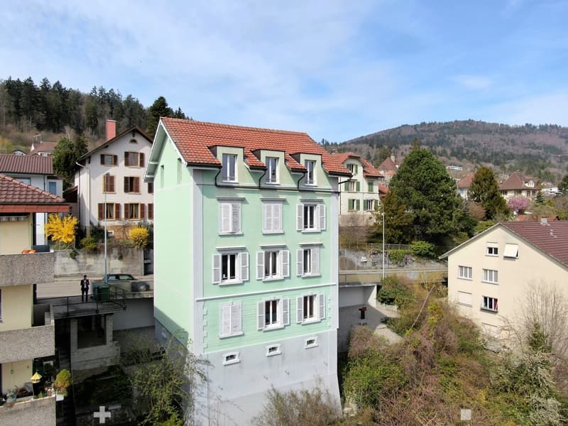 ALPENPANORAMA inklusive - top renovierte 2.5-Zimmerwohnung mit Galerie (7)