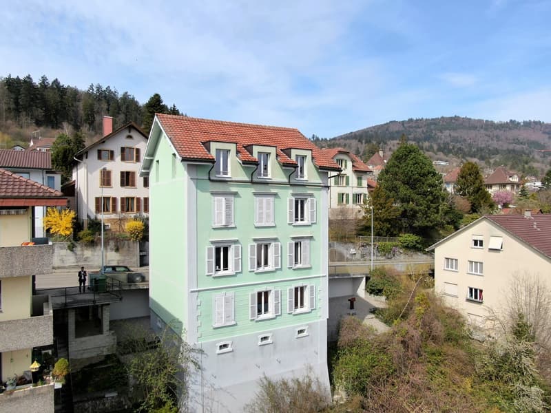 PANORAMA ALPIN inclus - appartement de 2,5 pièces rénové avec galerie (7)