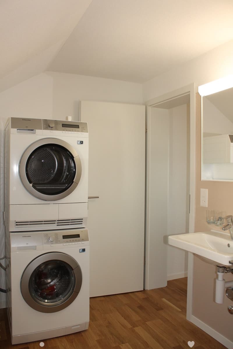ALPENPANORAMA inklusive - top renovierte 2.5-Zimmerwohnung mit Galerie (3)