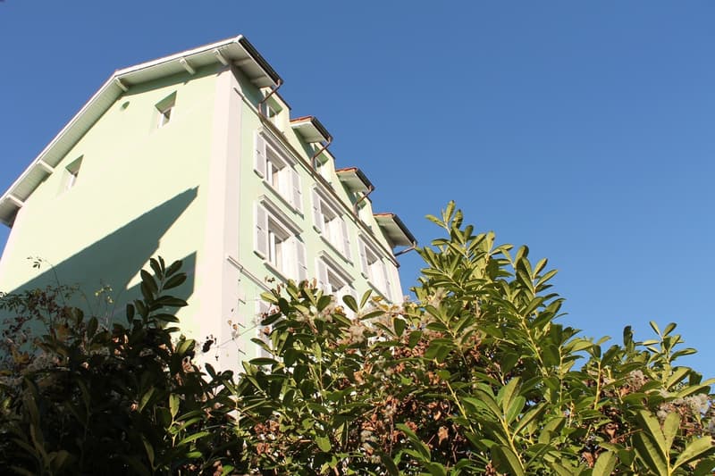 ALPENPANORAMA inklusive - top renovierte 2.5-Zimmerwohnung mit Galerie (8)