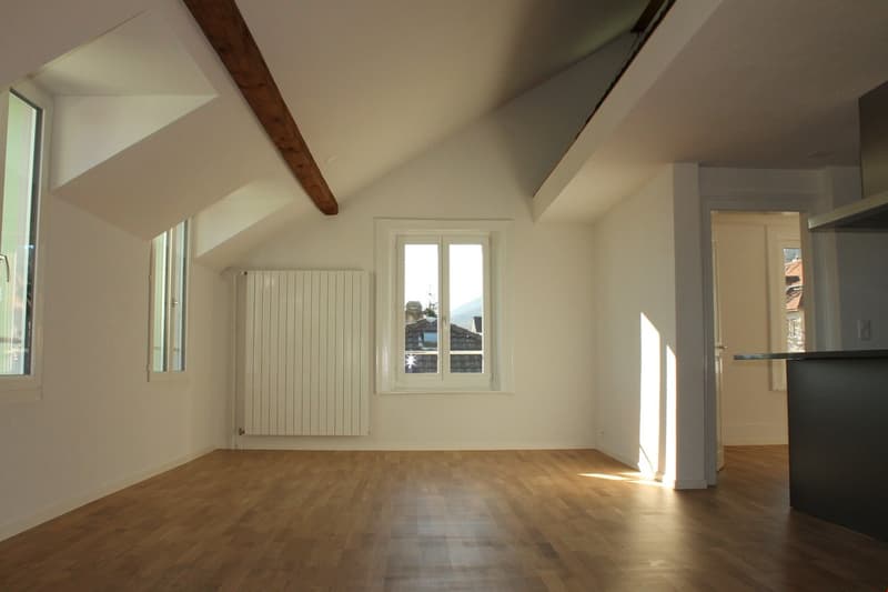 PANORAMA ALPIN inclus - appartement de 2,5 pièces rénové avec galerie (5)