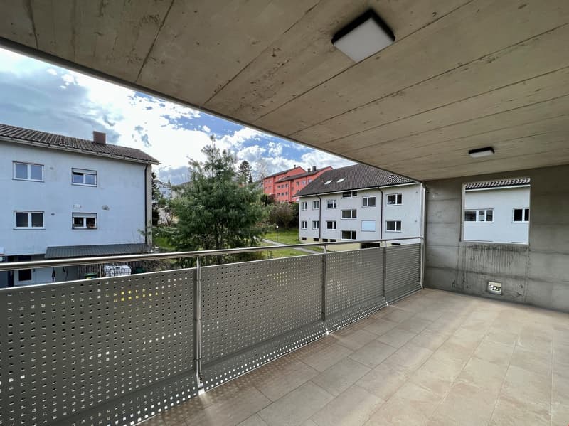 *** OCCASIONE *** TOP ristrutturato - 3 1/2 locali con ampio balcone (8)