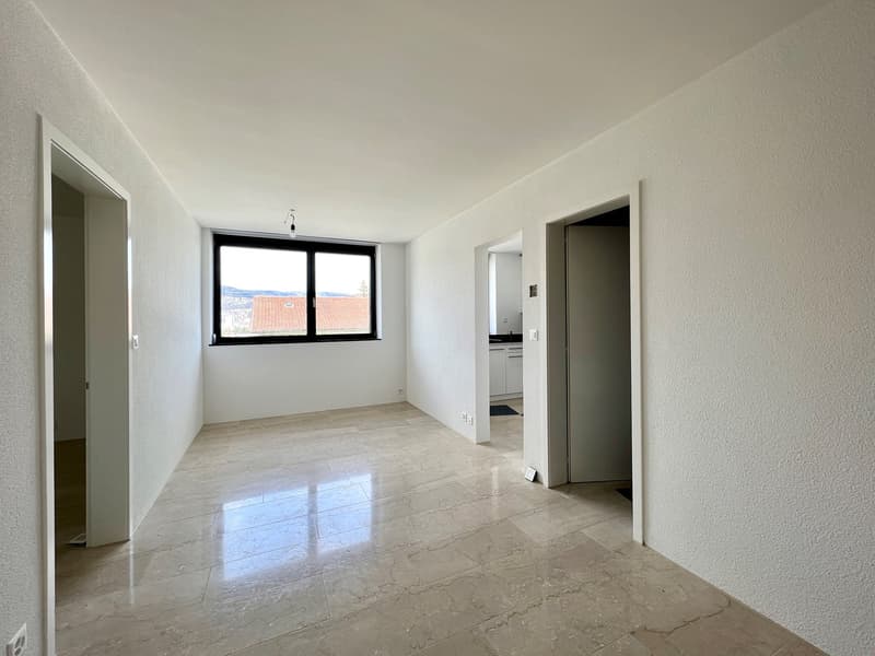 *** OCCASIONE *** TOP ristrutturato - 3 1/2 locali con ampio balcone (7)