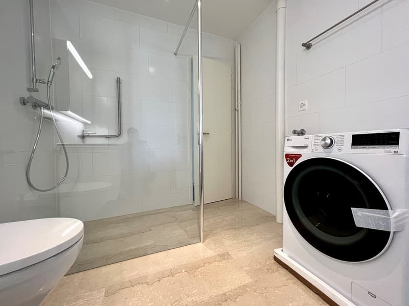 *** OCCASIONE *** TOP ristrutturato - 3 1/2 locali con ampio balcone (3)