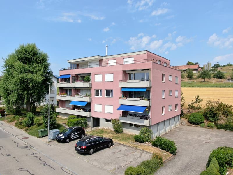 Renovierte 3.5-Zwg mit Balkon im ruhigen Quartier (2)