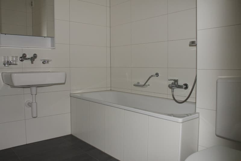 Renovierte 3.5-Zwg mit Balkon im ruhigen Quartier (6)