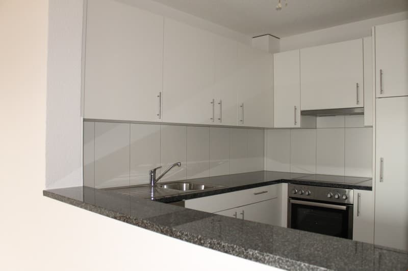 Renovierte 3.5-Zwg mit Balkon im ruhigen Quartier (1)