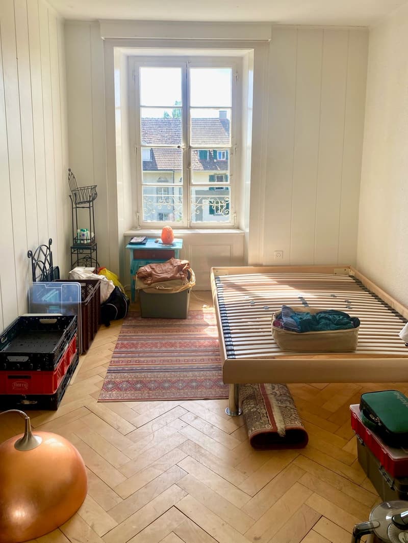 Bright 4-room apartment in a quiet location in Biel (3)