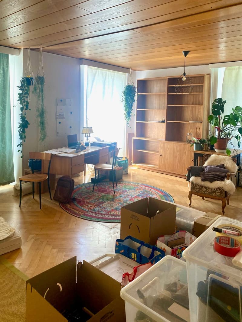 Bright 4-room apartment in a quiet location in Biel (2)