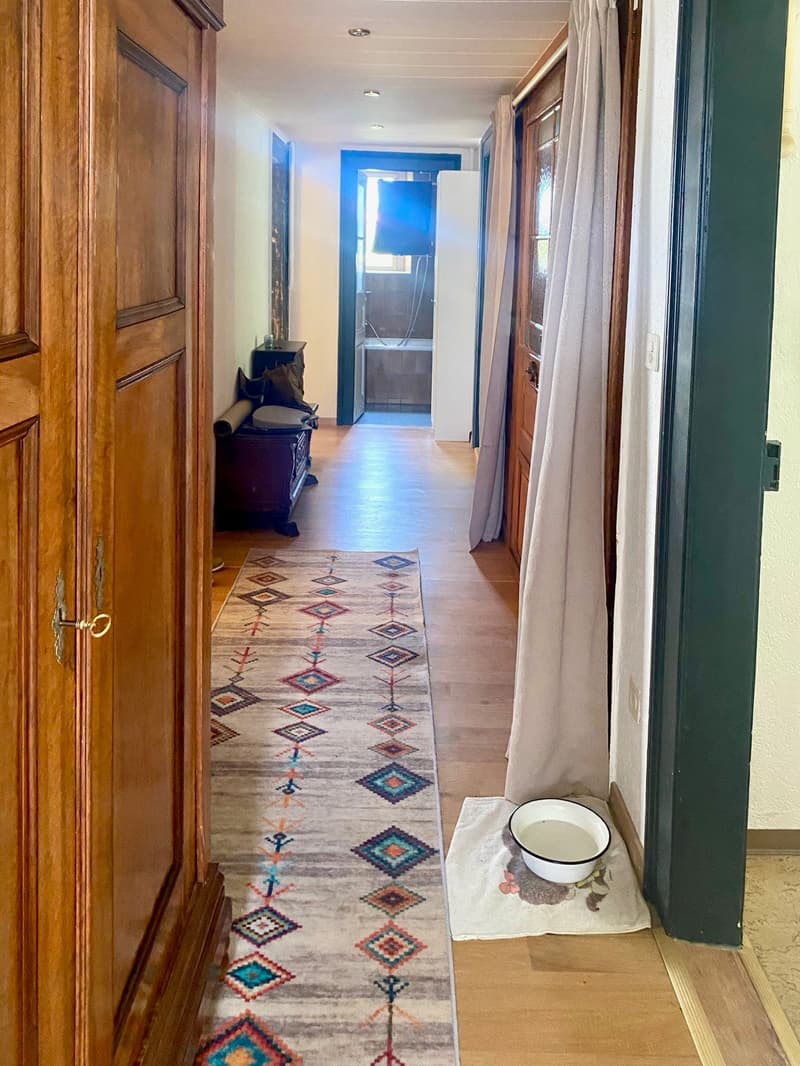 Bright 4-room apartment in a quiet location in Biel (5)