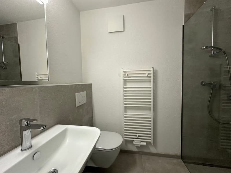 Helle und moderne 3.5 Zimmerwohnungen mit Balkon (5)