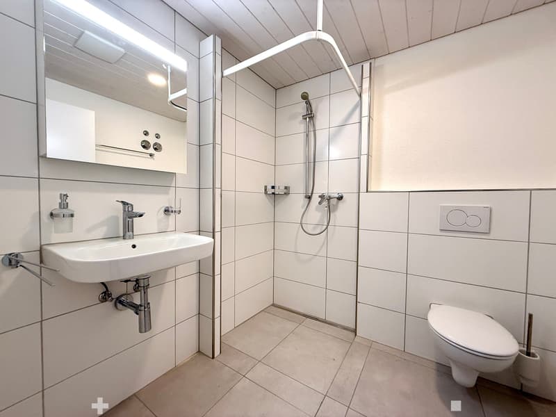 Exklusive Attika Loftwohnung mit Panoramablick (5)