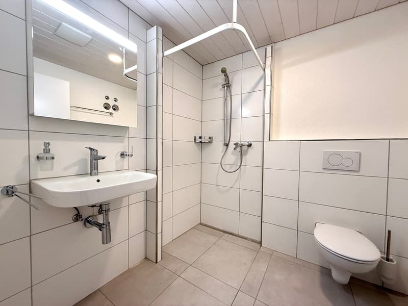 Appartement loft en attique exclusif avec vue panoramique (5)