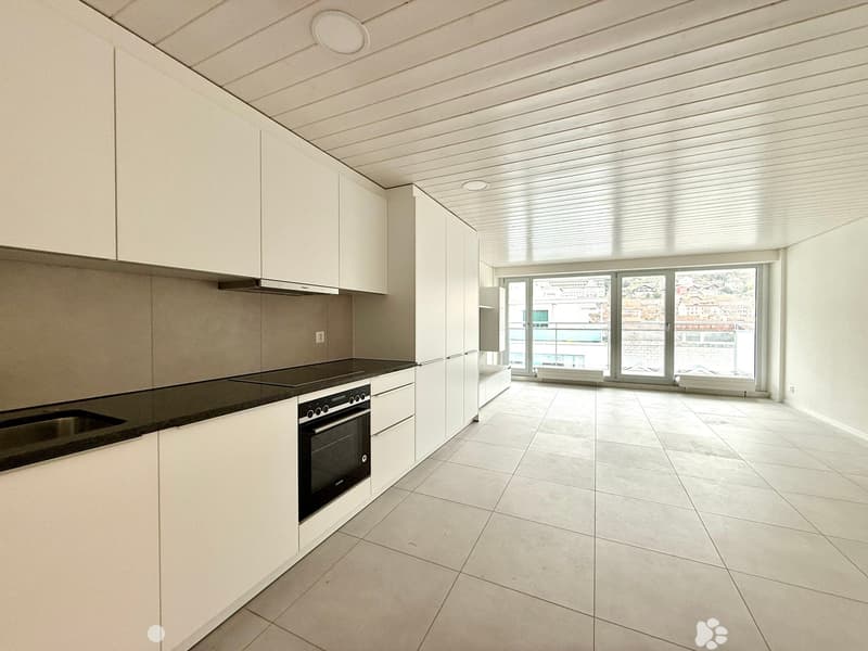 Exklusive Attika Loftwohnung mit Panoramablick (3)