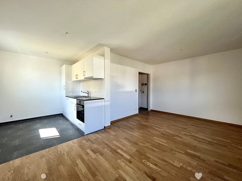 Komplett sanierte 1 1/2-Zwg offene Küche und Balkon (1)