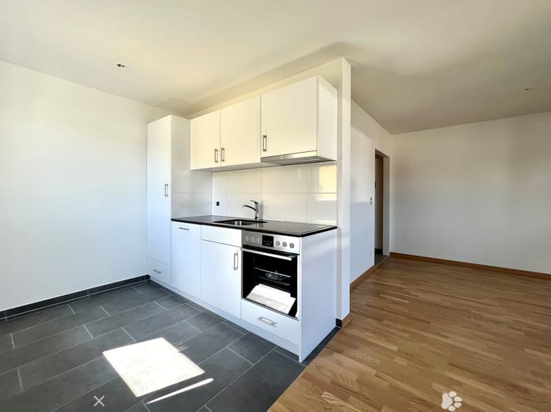 Komplett sanierte 1 1/2-Zwg offene Küche und Balkon (2)