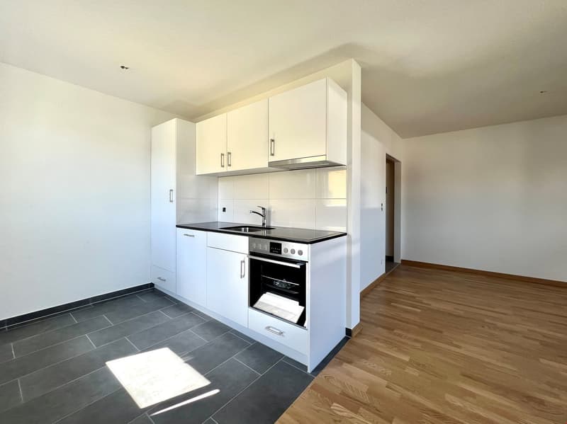 Appartamento 1 1/2 locali completamente ristrutturato con cucina aperta e balcone (2)