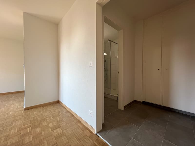 Appartamento 1 1/2 locali completamente ristrutturato con cucina aperta e balcone (4)