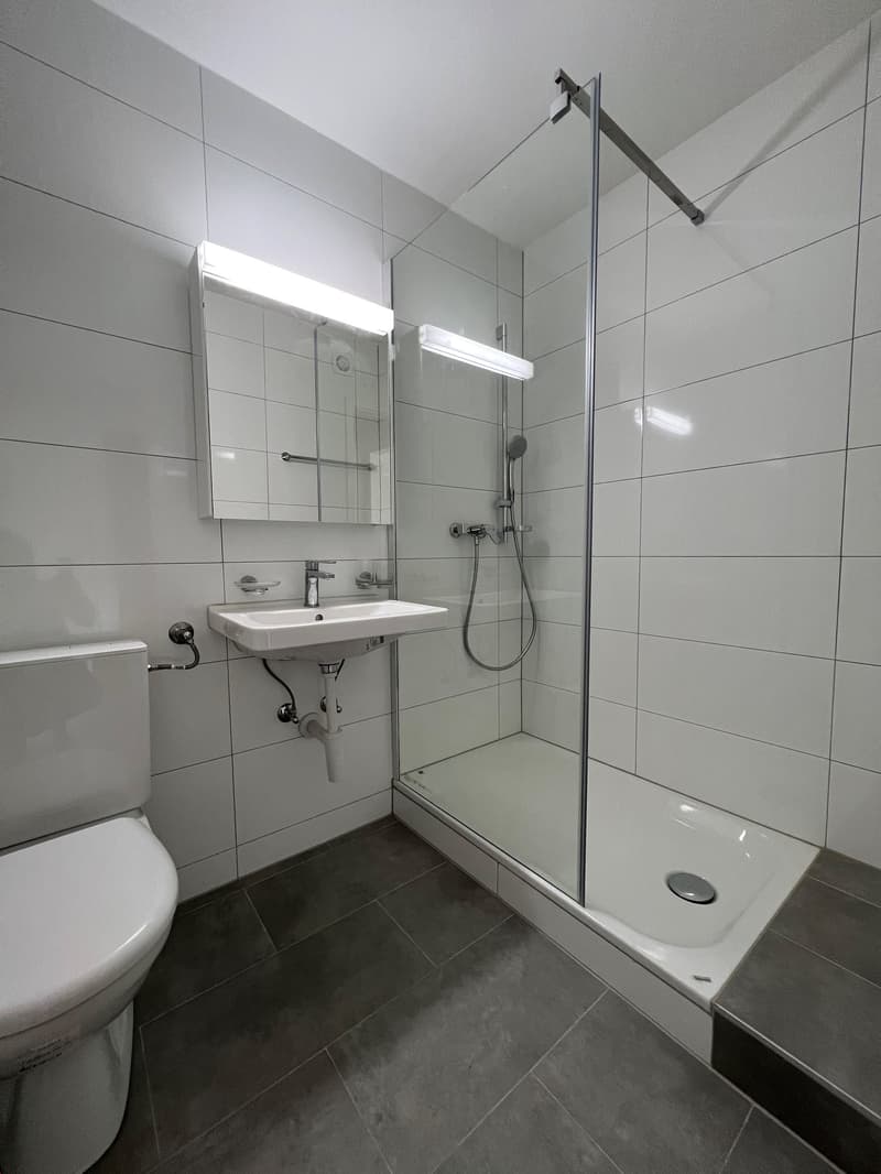 Appartamento 1 1/2 locali completamente ristrutturato con cucina aperta e balcone (5)
