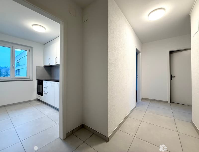 TOP-sanierte 21/2-Zwg mit Balkon im Mühlefeldquartier (3)