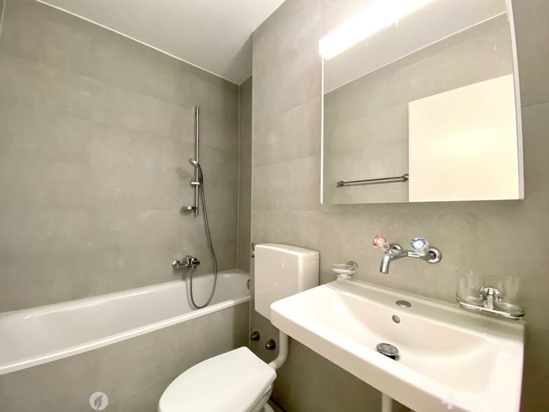 TOP-sanierte 3 1/2-Zwg mit Balkon im Mühlefeldquartier (4)
