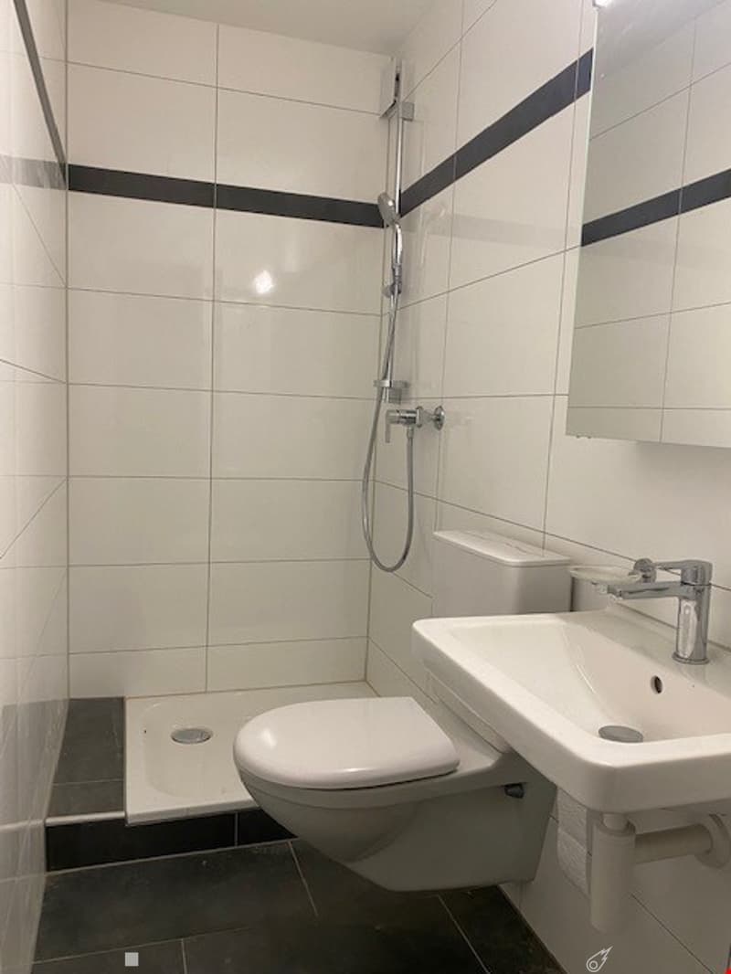 grosszügige 3.5-Zimmerwohnung im Stadtzentrum (4)