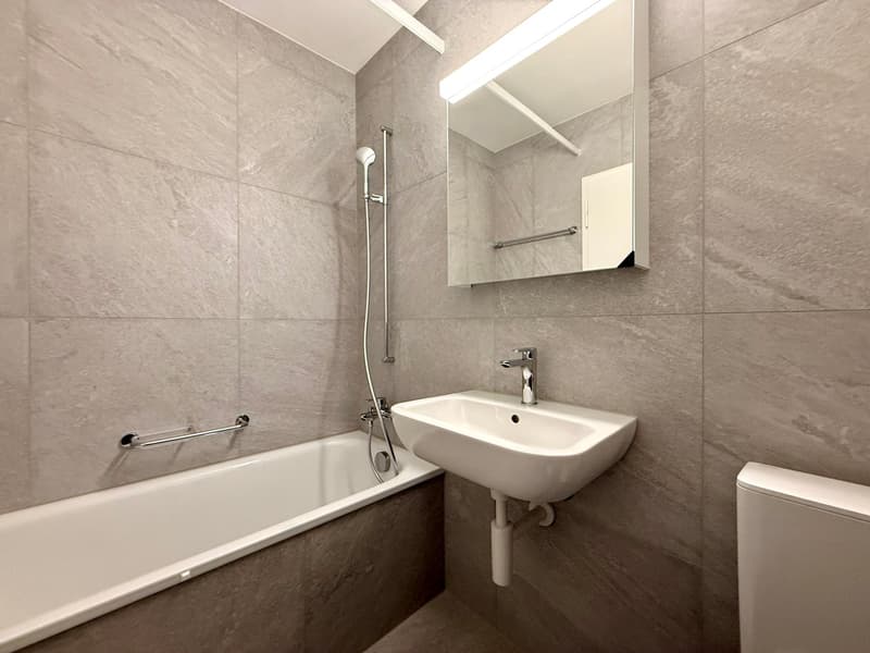 Neu renovierte 4.5 Zwg mit Balkon an ruhiger Lage (5)