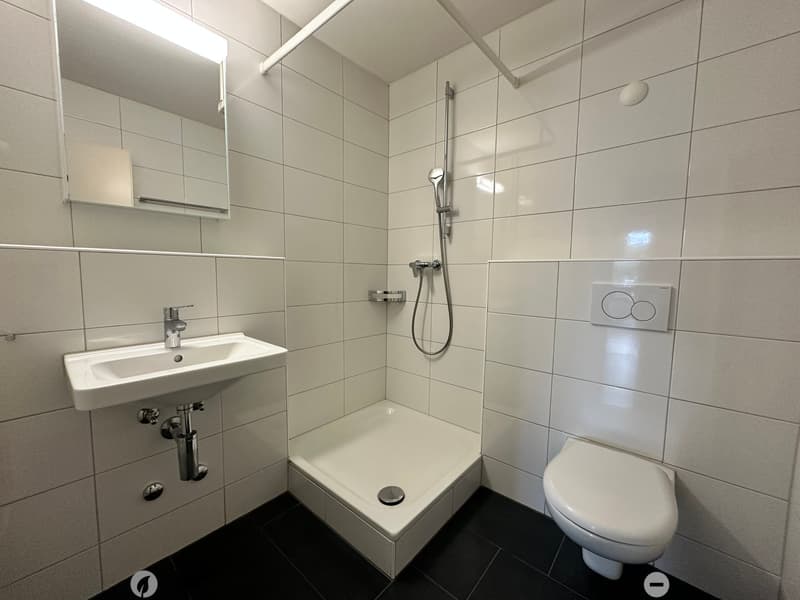 Moderne 2.5 Zimmerwohnungen an zentraler Lage (6)