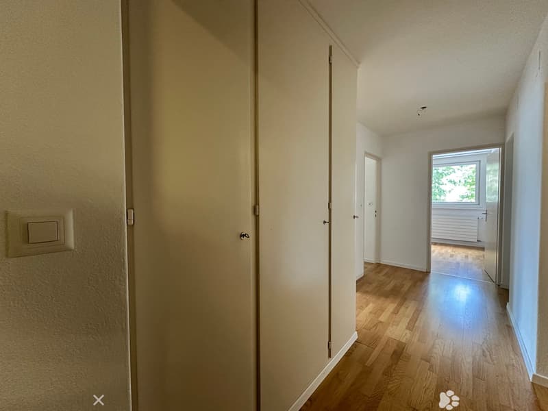 Moderne 2.5 Zimmerwohnungen an zentraler Lage (2)