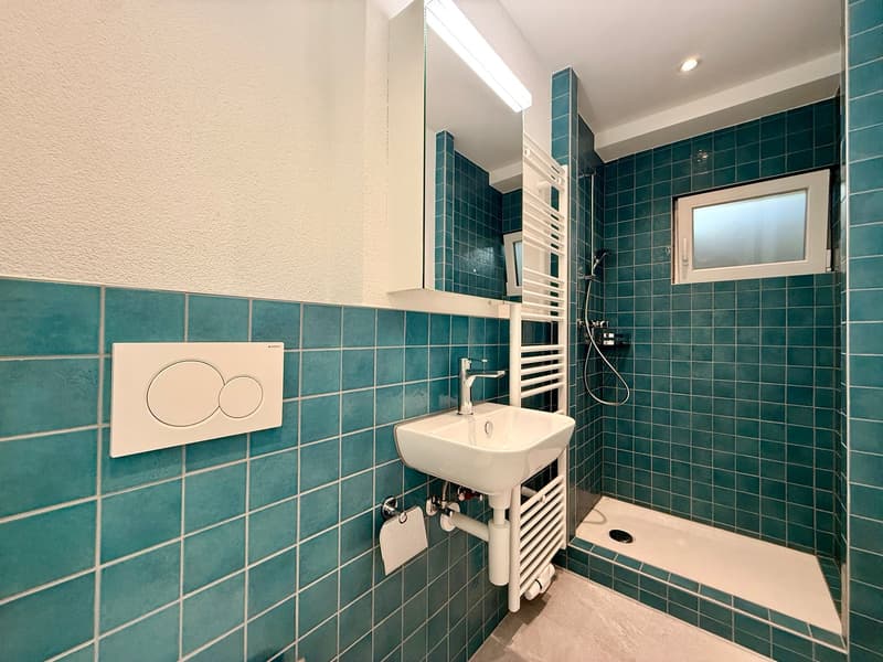 1-Zimmerwohnung mit Gartensitzplatz (3)