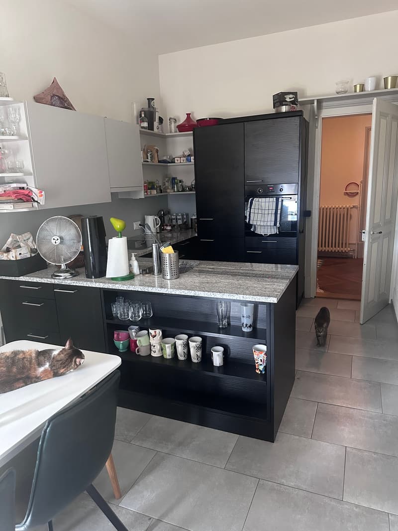 Stillvolle 5.5-Zimmer-Altbauwohnung im Herzen von Biel - direkt bei der Einkaufsmeile (19)