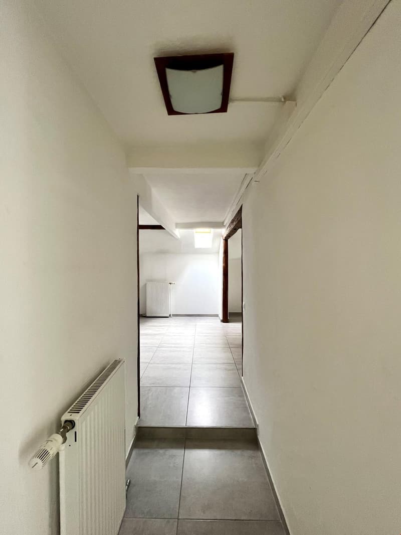 2.5 pièces près du centre (4)