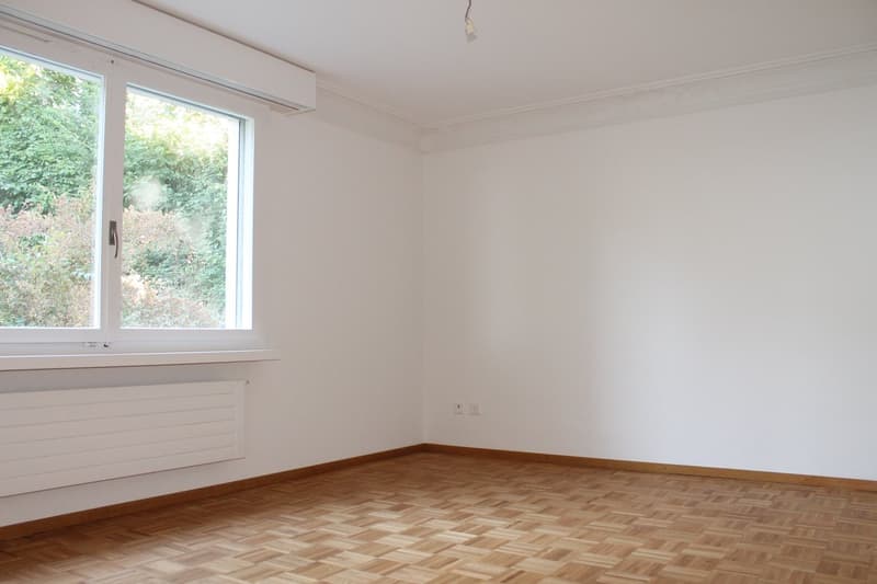 Hohlen Sie sich die ALPEN nach Hause - Grosse 4 1/2-Zwg mit Balkon (8)