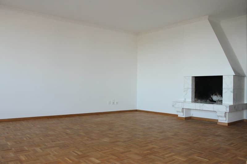 Hohlen Sie sich die ALPEN nach Hause - Grosse 4 1/2-Zwg mit Balkon (6)