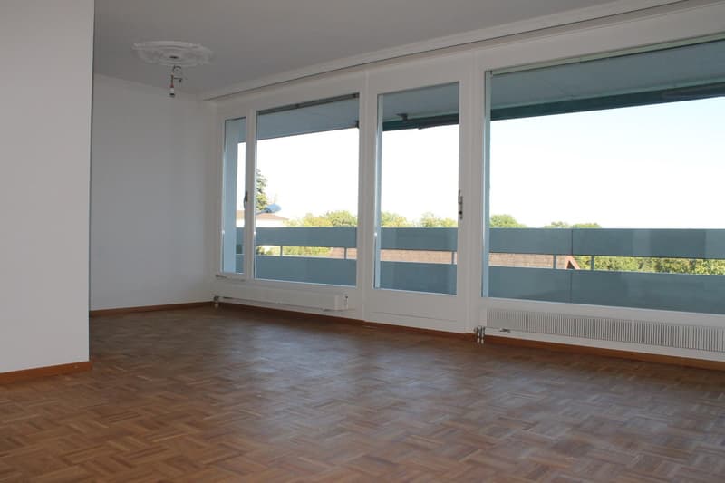Hohlen Sie sich die ALPEN nach Hause - Grosse 4 1/2-Zwg mit Balkon (7)