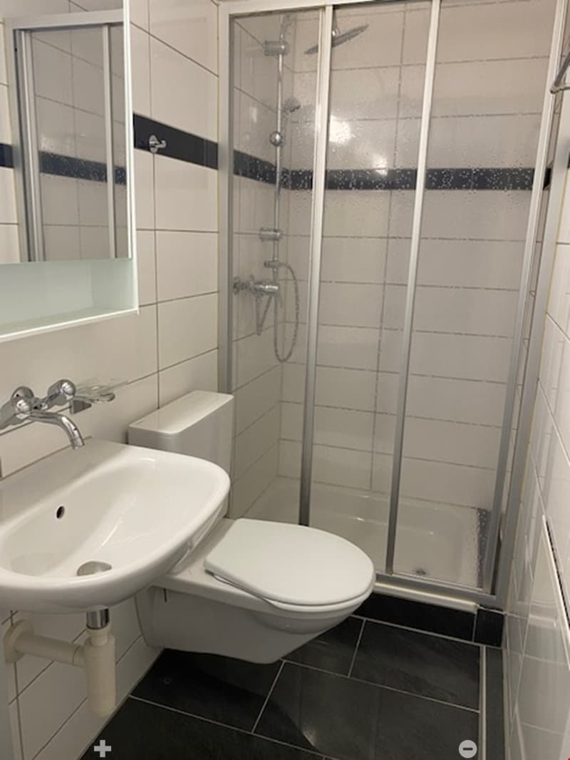 4.5-Zwg im 3. Stock mit Balkon in Stadtzentrum (5)