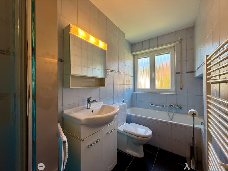Grosszügige 2.5-Zimmer-Wohnung mit 100 m² und Wintergarten-Charakter (7)