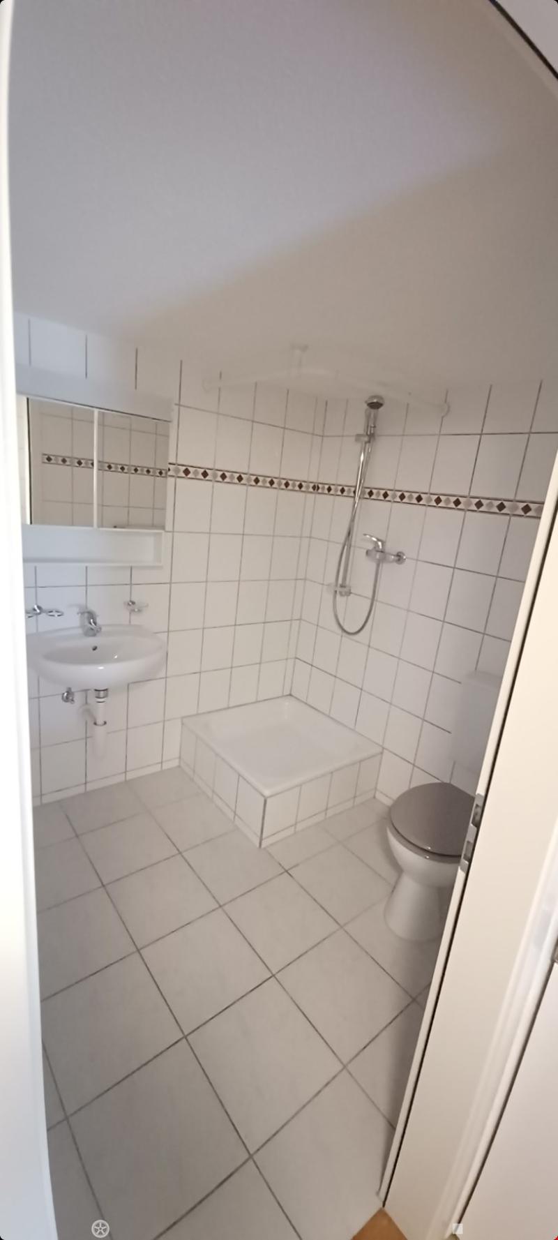2-Zimmerwohnungen im Dachgeschoss (4)