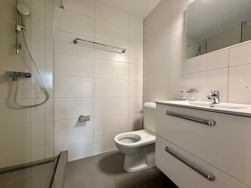 Neu sanierte 3.5 Zimmerwohnung mit Balkon (5)