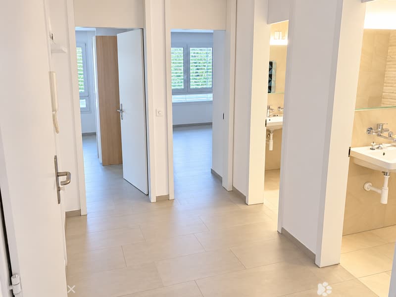 Renovierte 4.5-Zimmerwohnung im Stadtzentrum (2)