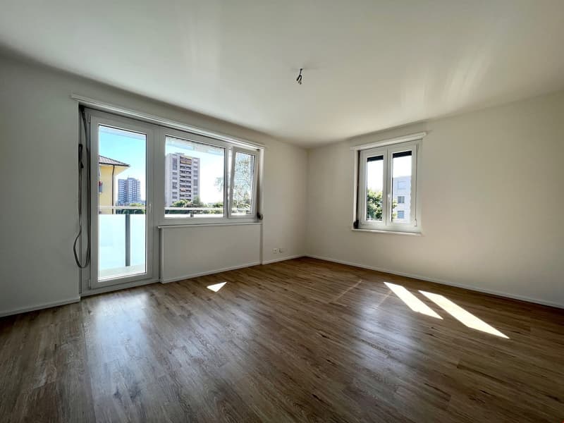 Renovierte und grosszuegige 2.5 Zwg mit Balkon und Waschmachine (2)