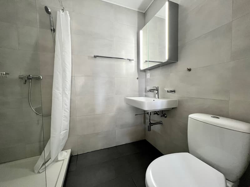 Renovierte und grosszuegige 2.5 Zwg mit Balkon und Waschmachine (5)