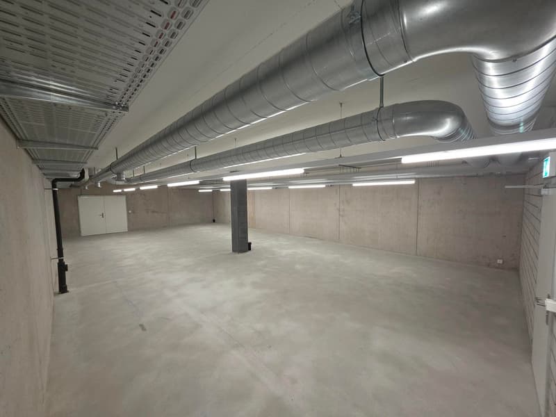 empty room, steel pipes, white walls, concrete floor, ceiling lights, door