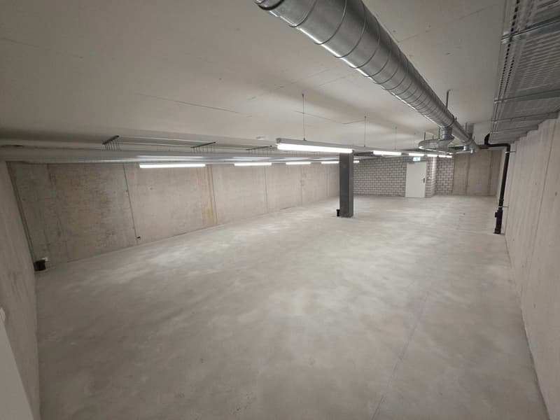 Empty garage with concrete floor, metal pipes, and fluorescent lights