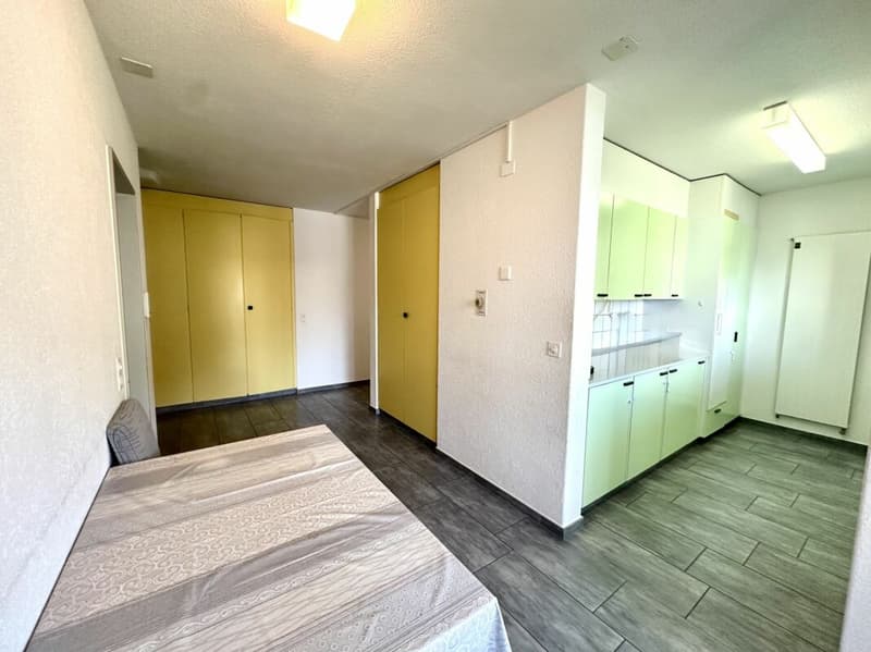 4.5 Room Apartment for Wellbeing (9)